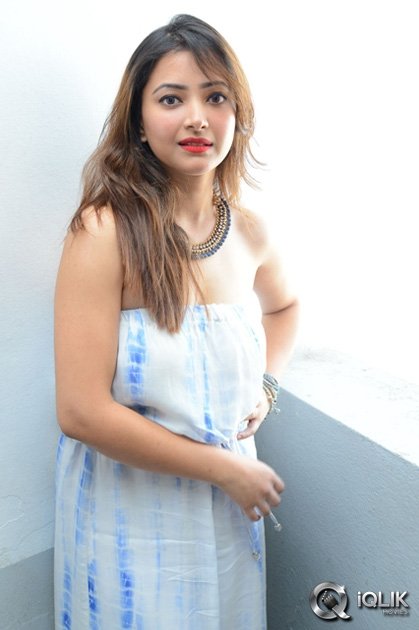 Shweta-Basu-Prasad-at-Intelligent-Idiots-Movie-Press-Meet